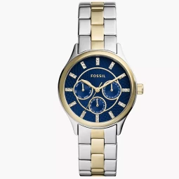 Fotografia de FOSSIL BQ3913